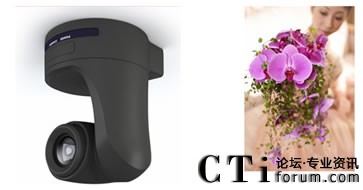 �������^���r�С�����